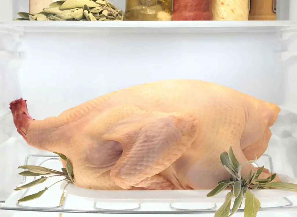 thaw-turkey-in-fridge