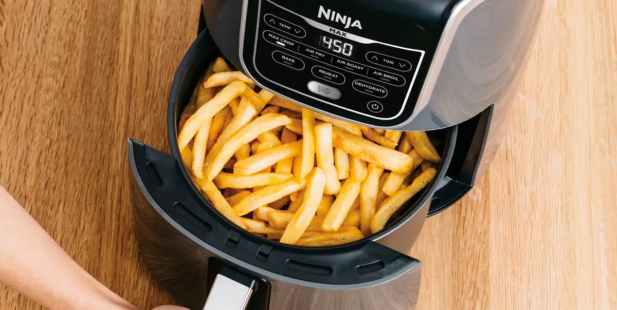 Best Air Fryer For One Person One Dollar Kitchen