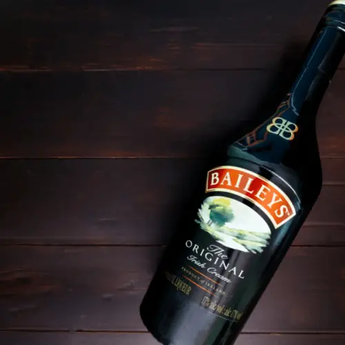 How To Tell If Canned Tuna Is Bad One Dollar Kitchen   Does Baileys Go Bad 500x500 