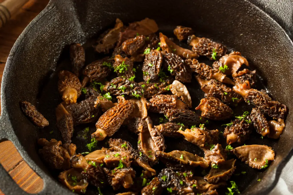 how_to_cook_morels