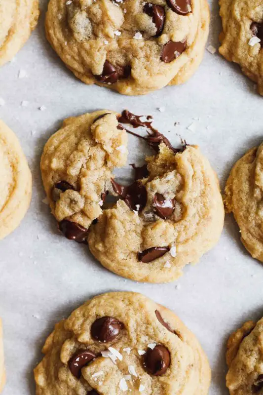 Chocolate Chip Cookies Without Baking Soda One Dollar Kitchen
